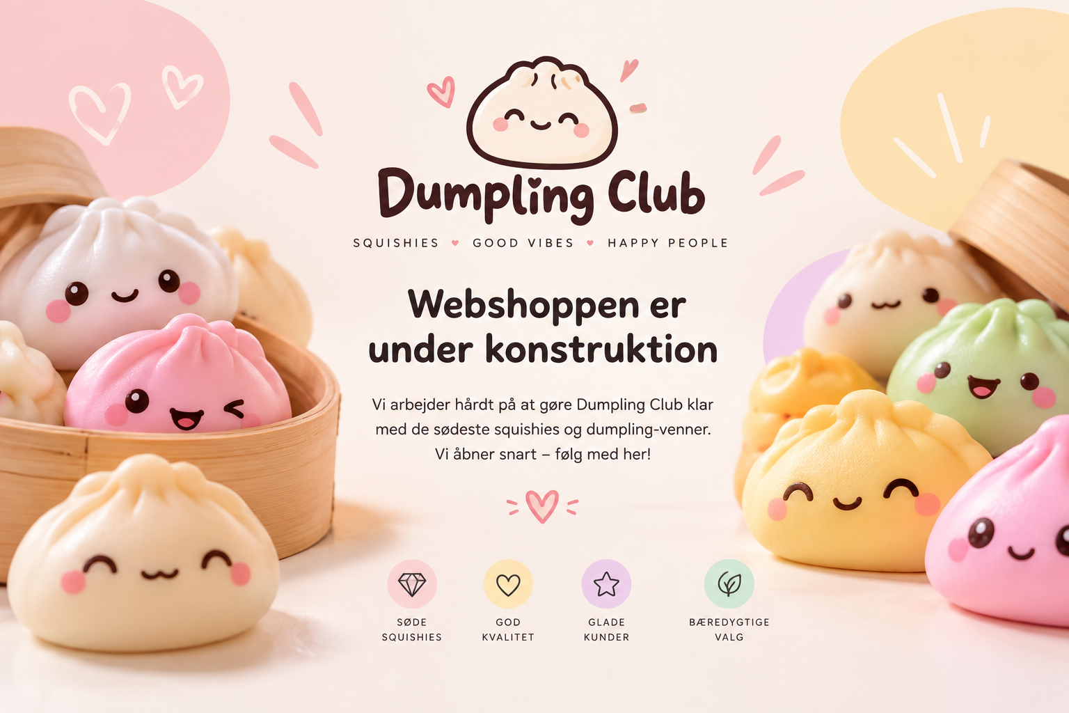 Dumpling Club – webshoppen er under konstruktion og åbner snart